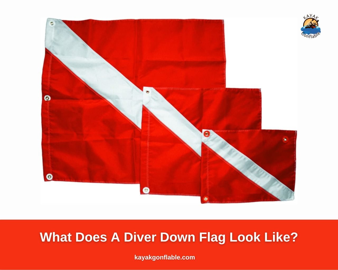 À quoi ressemble un drapeau Diver Down